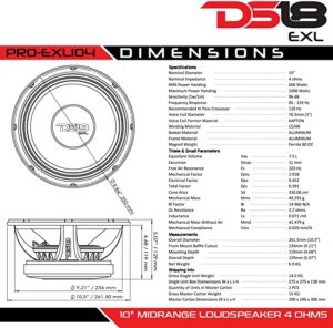 میدرنج 10 اینچ ds18