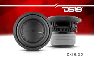 DS18-ZXI6.2D-SUBWOOFER