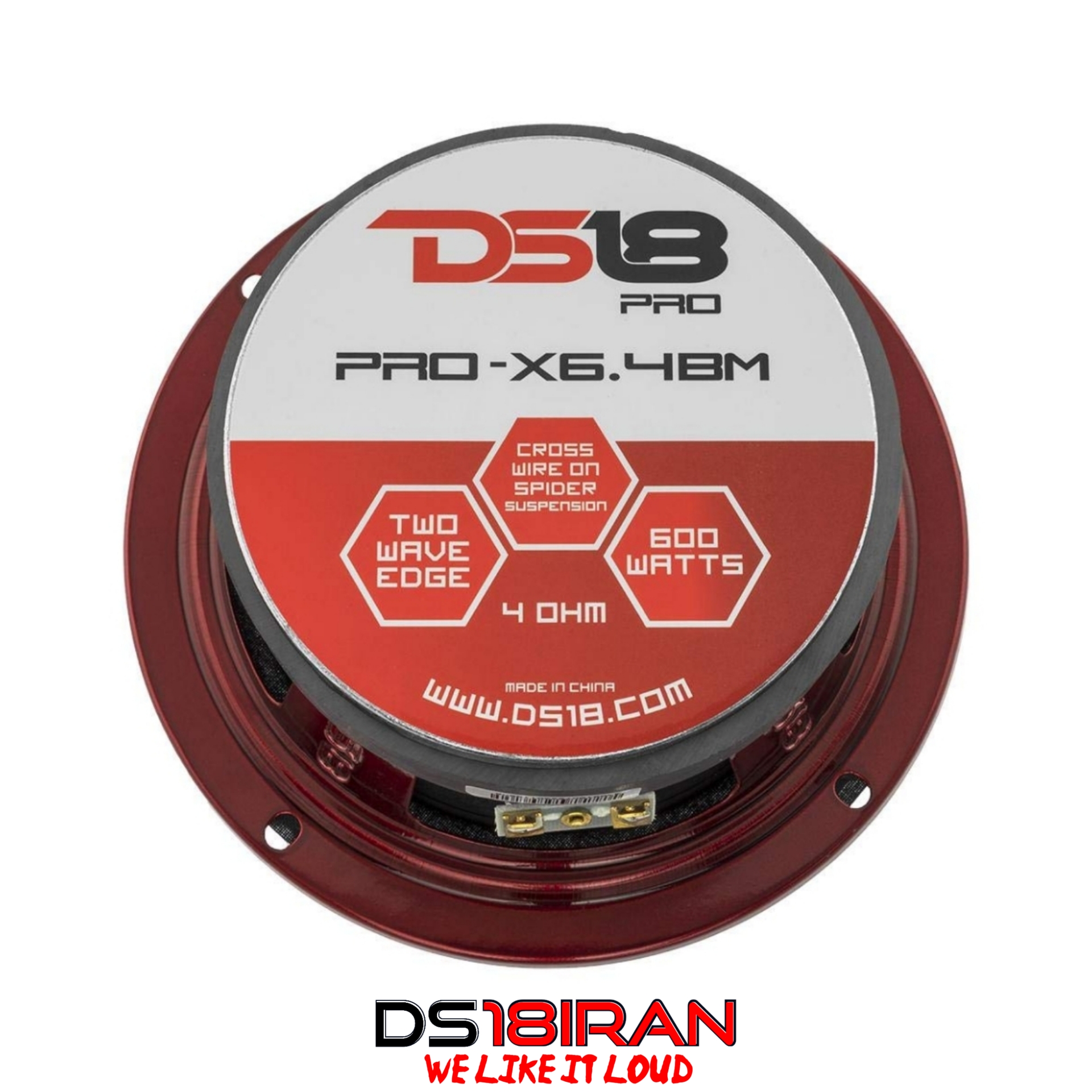 ds18 pro x6